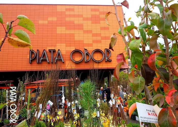 Cozy City Retreat, Obor Market & Metro